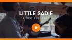 Little Sadie Guitar video
