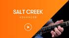 Salt Creek Mandolin video