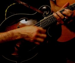 Online Mandolin licks