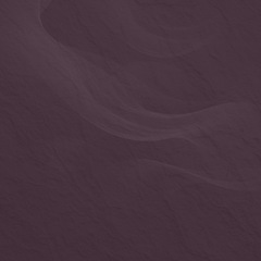 Mandolin D Major Workout 