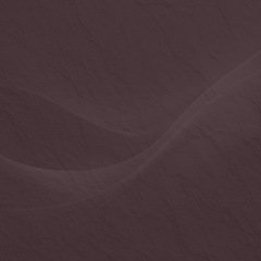 Banjo Banjo Capo Use