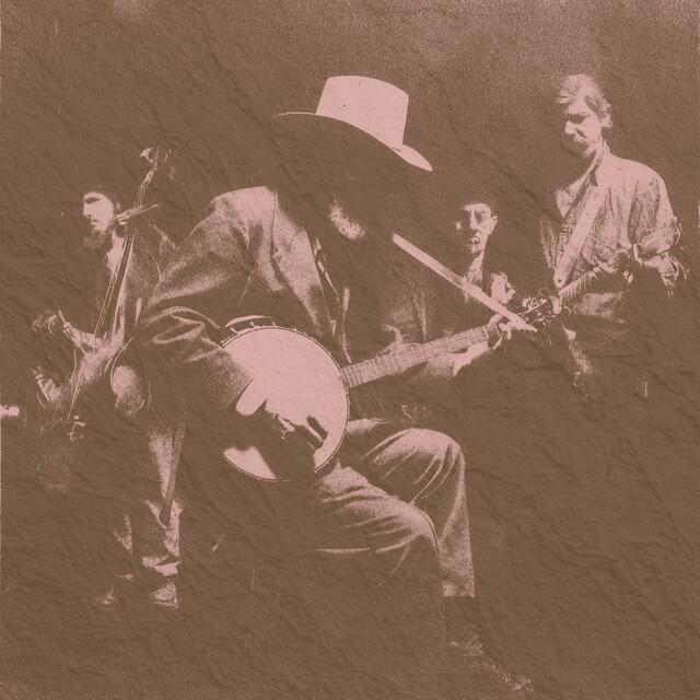 Banjo Spotted Pony Melodic Style