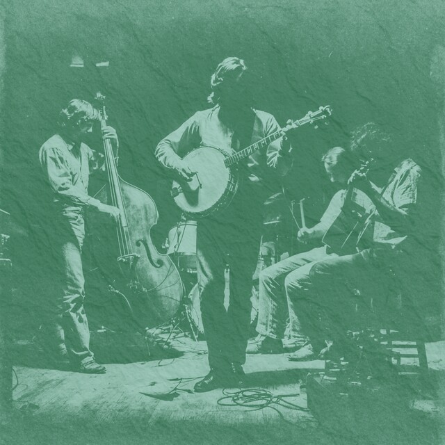 Mandolin First Fiddle Tunes Red Haired Boy