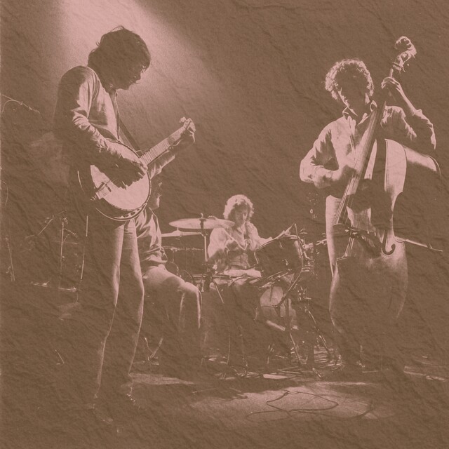 Banjo Head Over Heels Melodic Style