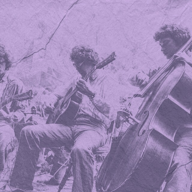 Guitar Beaumont Rag Advanced 