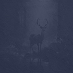 Banjo How to Play Chinquapin Hunting