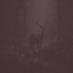 Banjo How to Play Chinquapin Hunting