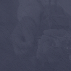 Mandolin Mandolin Chops 101