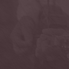 Mandolin Mandolin Chops 101