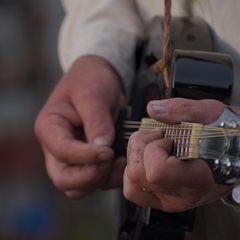 Mandolin Chopping 101