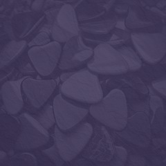 Mandolin Flatpicking Mandolin 101: The Picking Hand