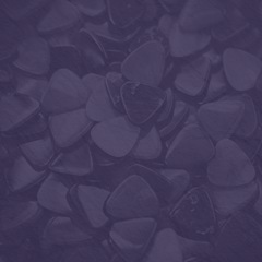 Mandolin Flatpicking Mandolin 102: The Fretting Hand