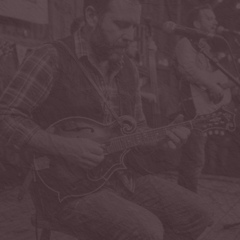 Mandolin Bluegrass Mandolin 101