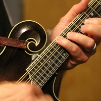 Mandolin Chords for Beginners Learning Path