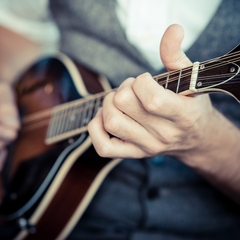 Mandolin Mandolin Rhythm - Barre Chord Chop