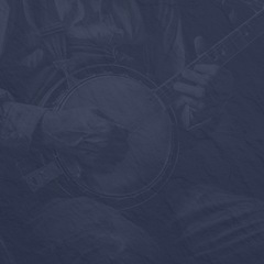 Banjo How to Play Sally Goodin Backup