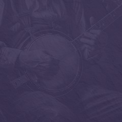 Banjo How to Play Sally Goodin Backup