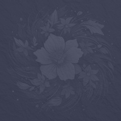 Mandolin Sam Bush Style Rhythm 101