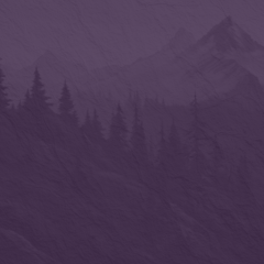 Banjo The Foggy Mountain Breakdown Roll