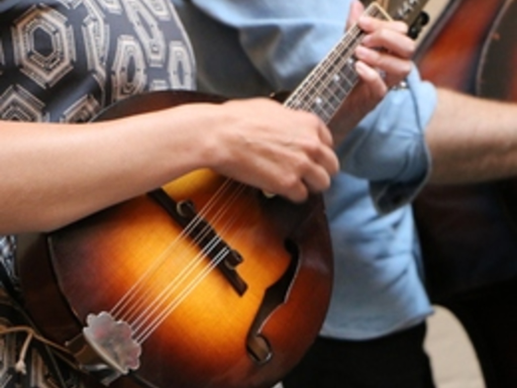 Online Mandolin lessons