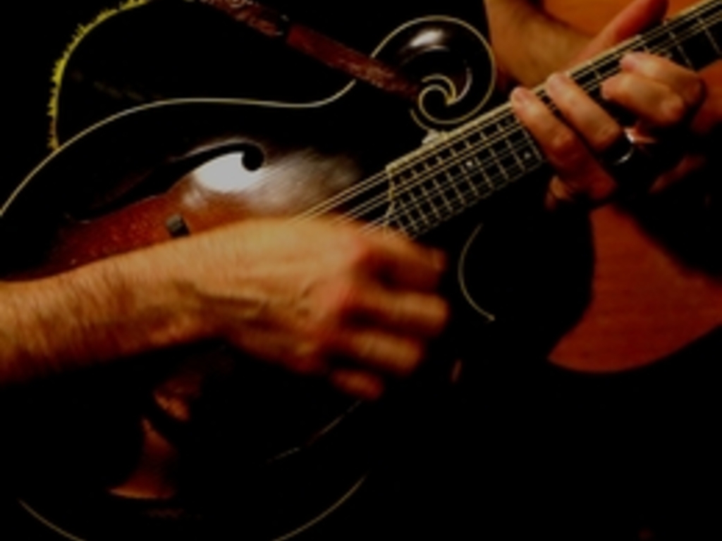 Mandolin Licks Collection Tunefox