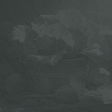 Clawhammer banjo  Up the Neck