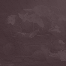 Clawhammer banjo  Clawhammer