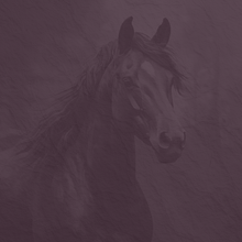 Clawhammer banjo  Clawhammer