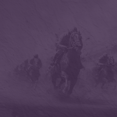 Clawhammer banjo Camptown Races 