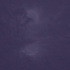 Guitar Midnight on the Water 