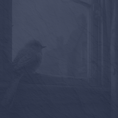 Guitar I'll Fly Away 