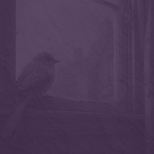 Clawhammer banjo  Melody - Key of C