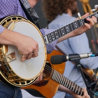 Banjo Worried Man Blues tab