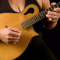 Mandolin Nine Pound Hammer  tab