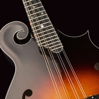 Mandolin Chinquapin Hunting tab