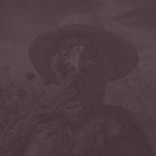 Banjo  Single String