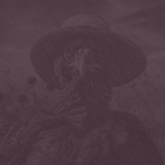 Banjo Turkey in the Straw 