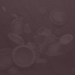 Fingerstyle Guitar Clay Pigeons 