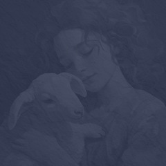 Clawhammer banjo Mary Had a Little Lamb 