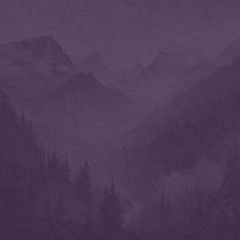 Banjo Foggy Mountain Breakdown 