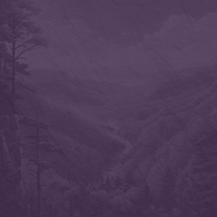 Banjo Cumberland Gap 