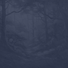 Banjo You Are My Sunshine 