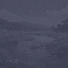 Banjo  Melodic Style