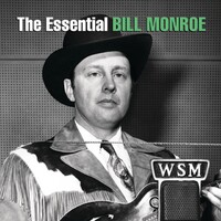 Mandolin New River Train tab