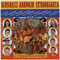 Mandolin Dixie Hoedown tab