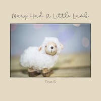 Clawhammer banjo Mary Had a Little Lamb tab