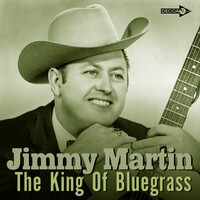 Mandolin Sunny Side of the Mountain - Melody