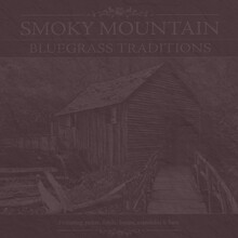 Banjo  Single String Style